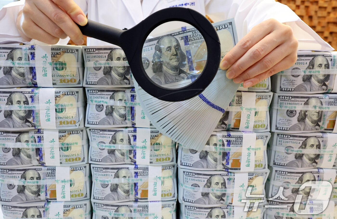 본문 이미지 - 서울 중구 하나은행 위변조대응센터에 놓인 달러화. 2025.11.5/뉴스1 ⓒ News1 이호윤 기자