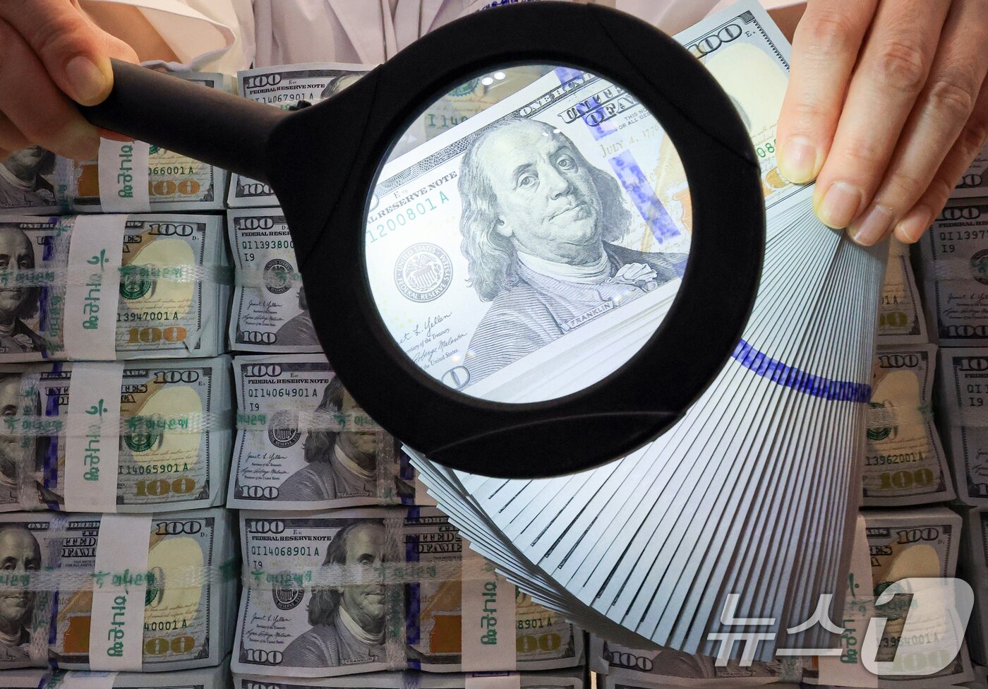 본문 이미지 - 서울 중구 하나은행 위변조대응센터에 놓인 달러화. 2025.11.5/뉴스1 ⓒ News1 이호윤 기자