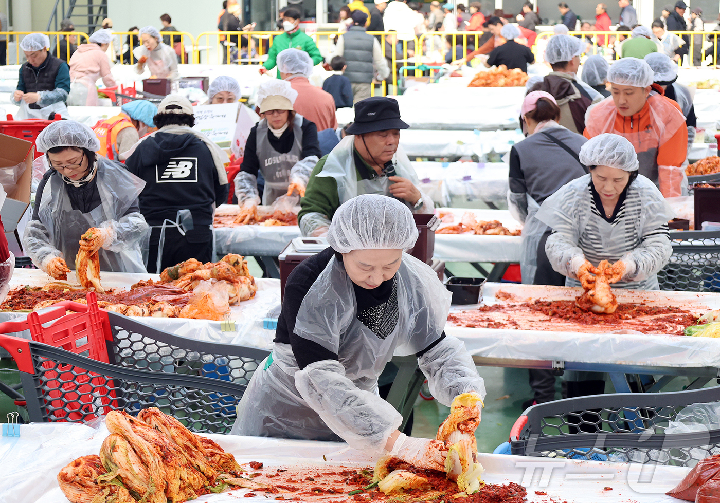 (서울=뉴스1) = 5일 강원 평창군 진부면민체육공원에서 열린 제8회 평창고랭지김장축제를 찾은 방문객들이 김장김치를 담그고 있다. (평창군 제공. 재판매 및 DB금지)  2025. …