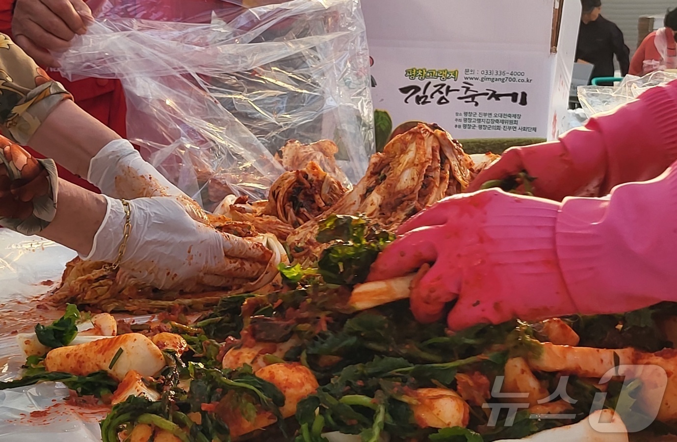 "맛있는 김치 만들기"…'2025년 평창고랭지김장축제' 개막 - 뉴스1