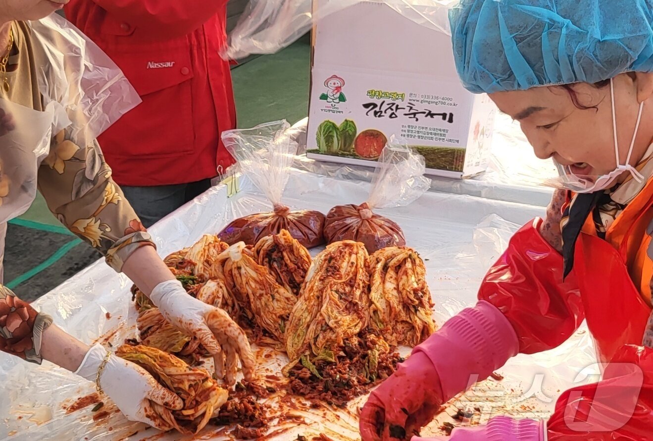 본문 이미지 - &#39;2025년 평창고랭지김장축제&#39; 행사장에서 축제 참가자들이 김장에 나서고 있다.  2025.11.5./뉴스1 2025.11.5/뉴스1 ⓒ News1 신관호 기자
