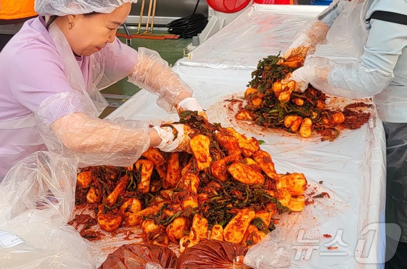 (평창=뉴스1) 신관호 기자 = \'2025년 평창고랭지김장축제\'가 5일 강원 평창군 진부면민체육공원 다목적센터에서 성황리에 개막한 가운데 이날 행사장에서 축제 참가자들이 김장에 …