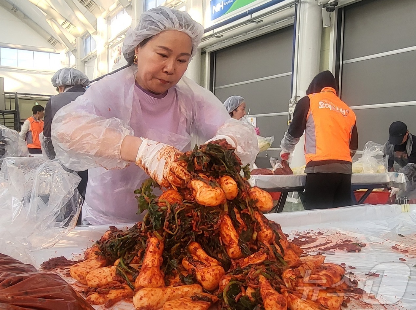 (평창=뉴스1) 신관호 기자 = \'2025년 평창고랭지김장축제\'가 5일 강원 평창군 진부면민체육공원 다목적센터에서 성황리에 개막한 가운데 이날 행사장에서 축제 참가자들이 김장에 …