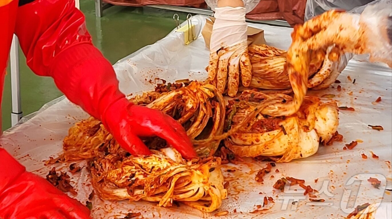 본문 이미지 - 특정 기사 내용과 무관한 자료사진 / 뉴스1 ⓒ News1 2025.11.5./뉴스1 ⓒ News1 신관호 기자