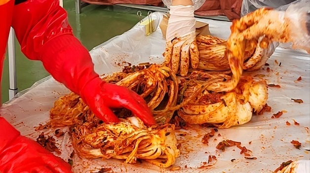 '오랫동안 맛있는 김치'로 수출 경쟁력↑…농식품부, 종균 보급 박차