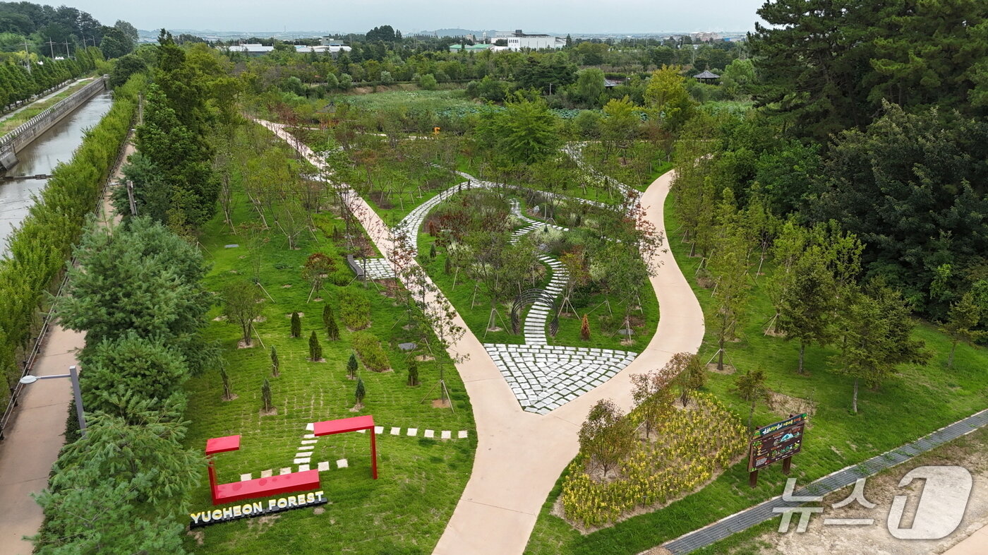 본문 이미지 - 전북 익산에 조성된 유천생태습지 모습.(익산시 제공. 재판매 및 DB 금지)