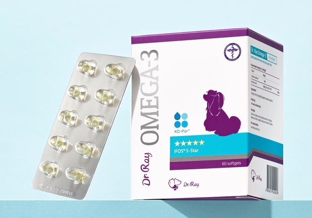 반려동물 영양제 '닥터레이', 일본 첫 수출 쾌거…"진정성 통해"