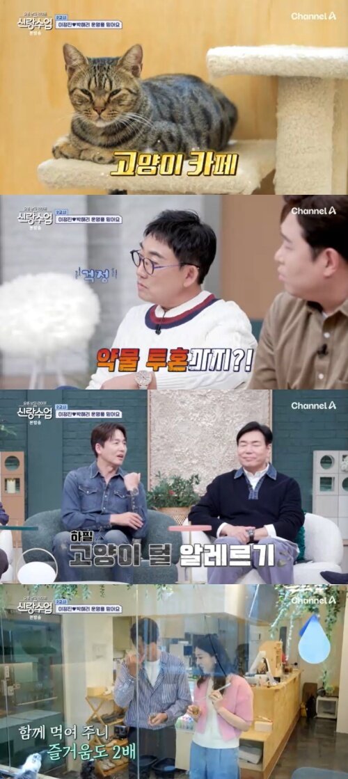 본문 이미지 - 채널A &#39;신랑수업&#39; 캡처