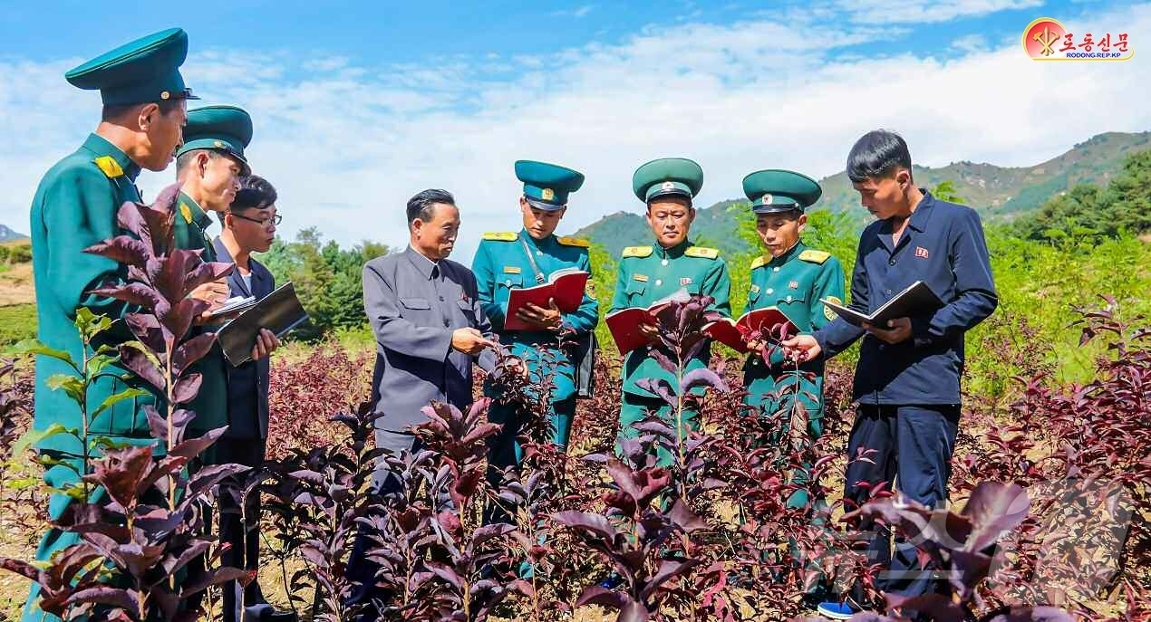 (평양 노동신문=뉴스1) = 북한 노동당 기관지 노동신문은 6일 동신군산림경영소를 조명하며 수종이 좋은나무모를 많이 생산하기 위해 노력해야 한다고 보도했다. [국내에서만 사용가능. …