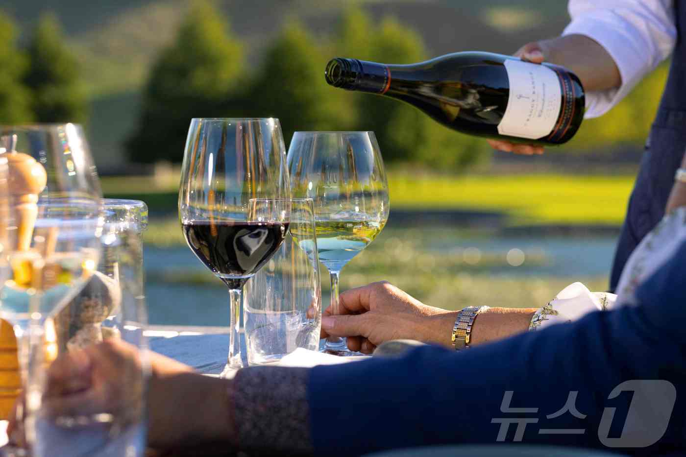 본문 이미지 - 음식에 곁들이는 뉴질랜드 와인&#40;뉴질랜드관광청 제공&#41;