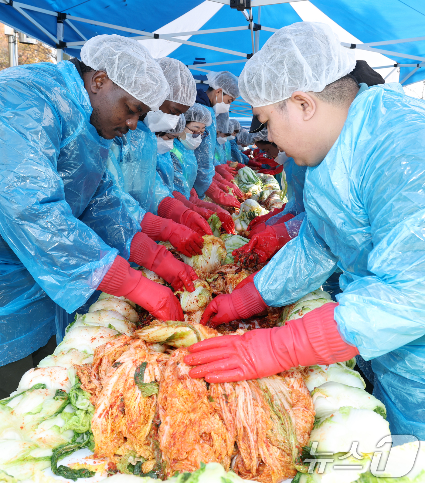 (대전=뉴스1) 김기태 기자 = 6일 대전 서구 둔산동 샘머리공원에서 열린 서구 자원봉사센터 주최‘함께하는 기쁨, 사랑가득 김장나눔’ 행사에서 배재대 한국어학당 유학생들이 김장을 …