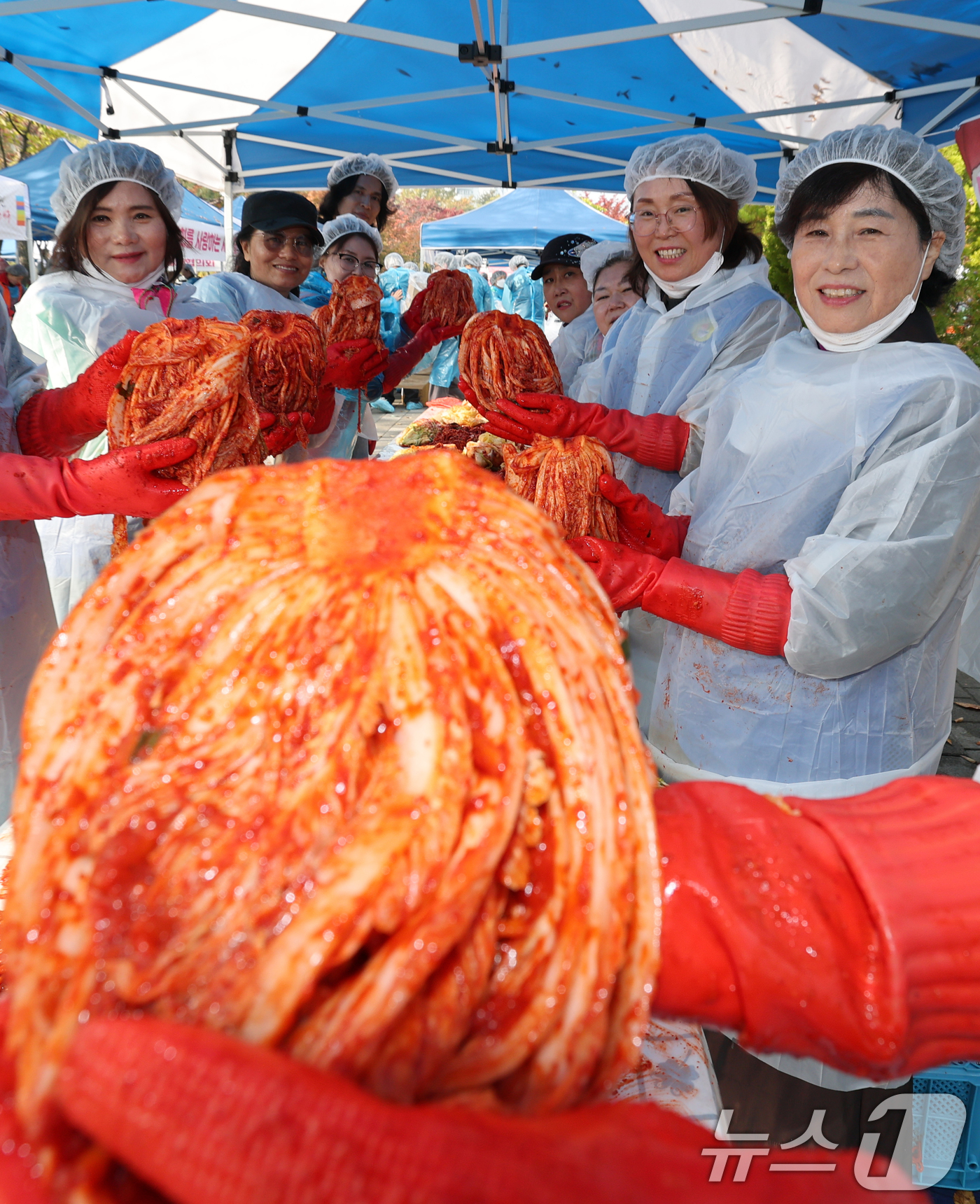(대전=뉴스1) 김기태 기자 = 6일 대전 서구 둔산동 샘머리공원에서 열린 서구 자원봉사센터 주최 ‘함께하는 기쁨, 사랑가득 김장나눔’ 행사에서 봉사자들이 김장을 하고 있다. 20 …