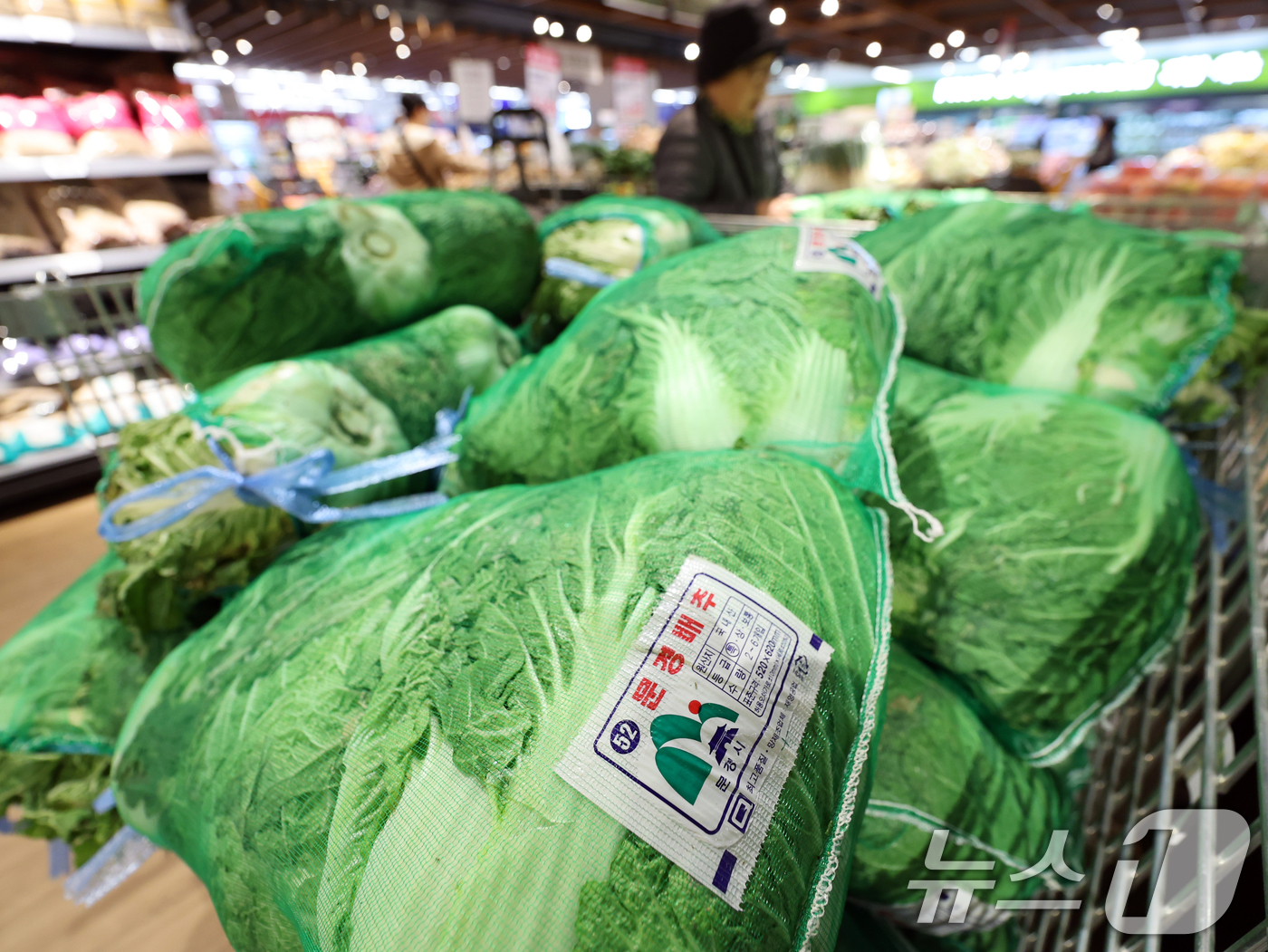 (서울=뉴스1) 황기선 기자 = 6일 서울 용산구 이마트 용산점에서 고객들이 김장재료를 고르고 있다.이마트는 이날부터 오는 12일까지 '2025 김장대전을 개최한다. 행사시간 동안 …