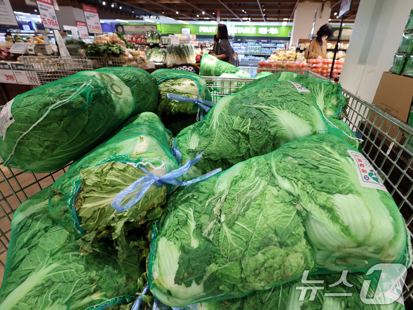 (서울=뉴스1) 황기선 기자 = 6일 서울 용산구 이마트 용산점에서 고객들이 김장재료를 고르고 있다.이마트는 이날부터 오는 12일까지 '2025 김장대전을 개최한다. 행사시간 동안 …