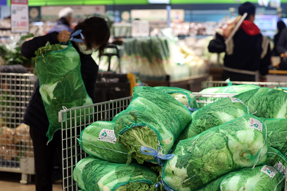 경기도 "김장철 경기도산 농·축산물 구매하면 30% 할인"