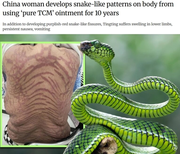 본문 이미지 - (SCMP 갈무리)