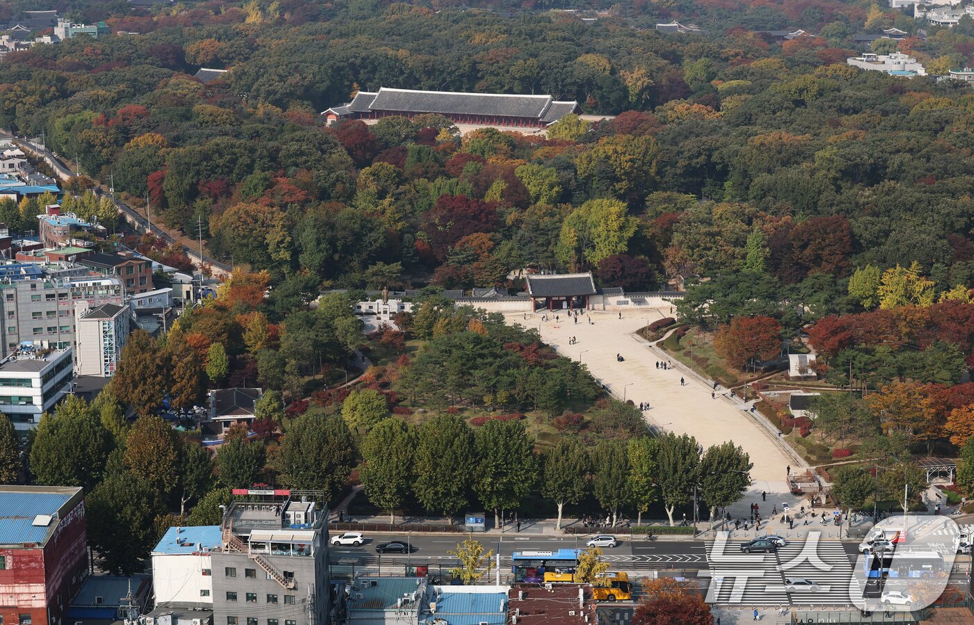 본문 이미지 - 서울시가 국가유산청과 협의 없이 문화유산 인근 건설공사를 규제하는 조례 조항을 삭제한 것은 위법하지 않다는 대법원 판단이 지난 6일 나왔다. 사진은 이날 오후 서울 종로구 종묘 모습.  2025.11.6/뉴스1 ⓒ News1 오대일 기자