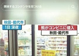 "맨손으로 곰 잡았다" AI 가짜 영상, 日 SNS에 급속 확산…"위험 조장"