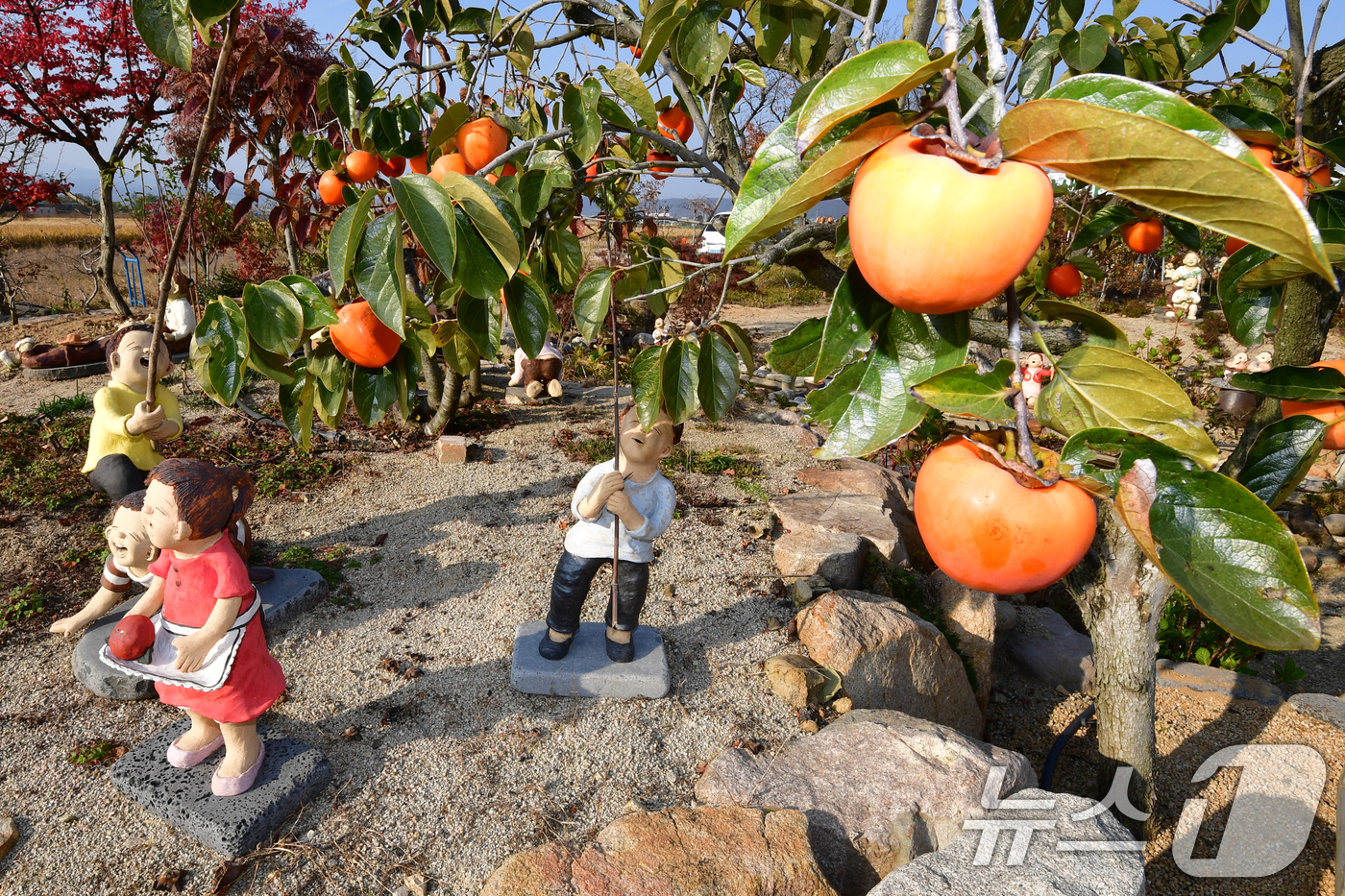 (포항=뉴스1) 최창호 기자 = 6일 오후 경북 포항시 북구 흥해읍 망천리 미소토우 겔러리 마당에 전시를 위한 인형들이 설치돼 있다.미소토우 겔러리에서는 오는 7일부터 9일까지 2 …