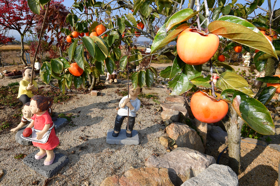 정겨운 미소토우