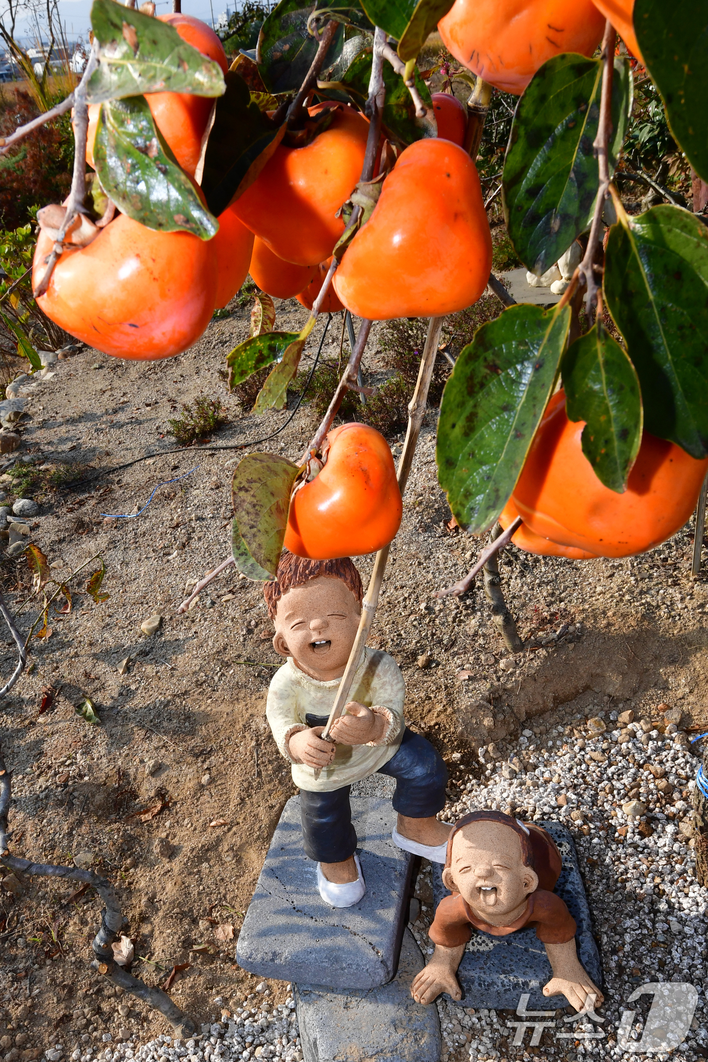 (포항=뉴스1) 최창호 기자 = 6일 오후 경북 포항시 북구 흥해읍 망천리 미소토우 겔러리 마당에 전시를 위한 인형들이 설치돼 있다.미소토우 겔러리에서는 오는 7일부터 9일까지 2 …