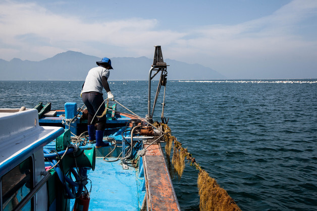 어촌어항공단, 전국 1500명 귀어인 대상 '2024년 귀어 실태조사' 실시