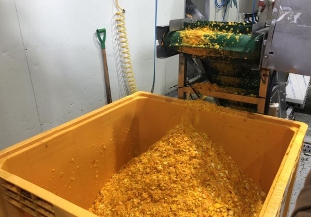 과즙 짜고 남은 폐기물이 냄새·해충 잡는 '친환경' 자재로 재탄생