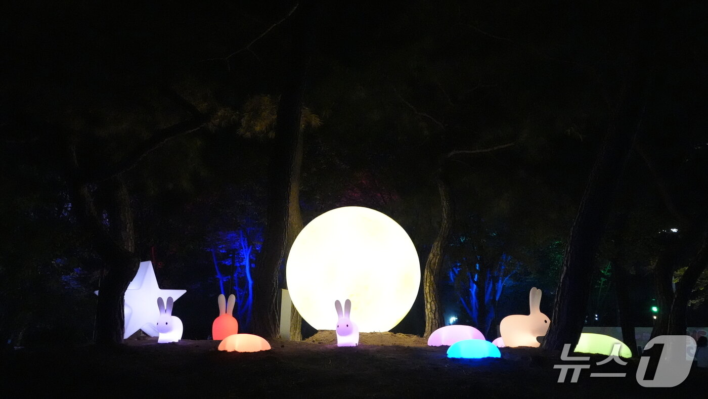 본문 이미지 - 6일 오후 강원 춘천 삼천동 의암공원에서 열린  ‘가을밤, 음악과 함께하는 점등식’.&#40;춘천시 제공, 재판매 및 DB금지&#41;