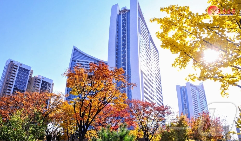 (평양 노동신문=뉴스1) = 북한 노동당 기관지 노동신문은 7일 "단풍계절을 맞아 더욱 아름다워진 수도의 새 거리들"이라는 제목의 기사를 보도했다. [국내에서만 사용가능. 재배포 …
