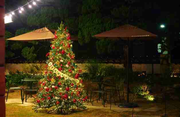 스타벅스, 장충라운지R 정원에 3m 크리스마스트리 장식