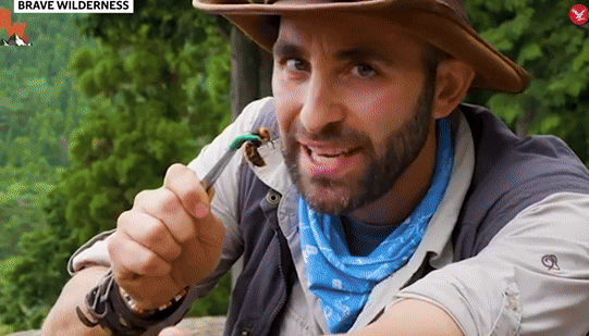 본문 이미지 - 살인말벌을 채칩하고 있는 유튜버. 출처=유튜브 &#39;gets stung by murder hornet&#39;