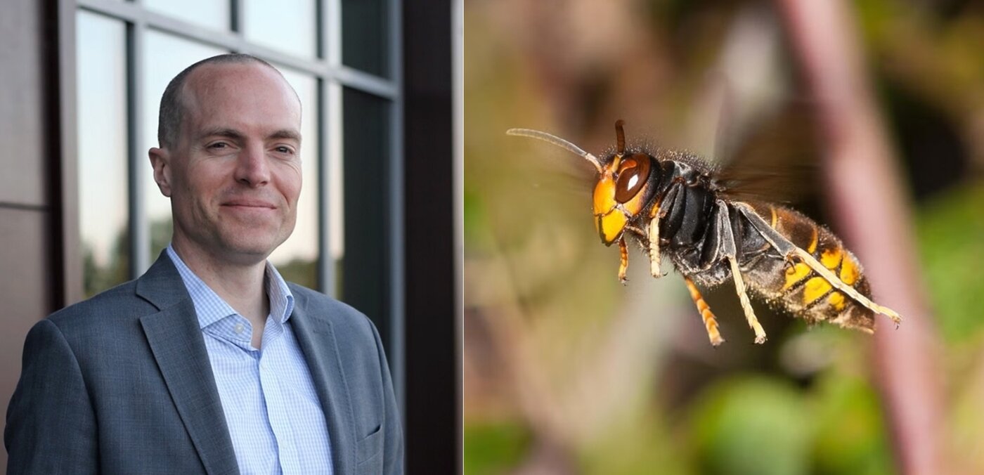 본문 이미지 - 살인말벌에 희생된 다니엘 오웬&#40;47&#41;. 출처=인디펜던트.