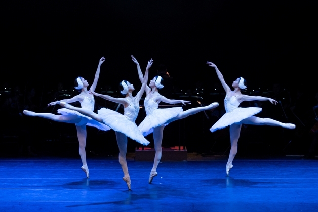 단돈 1만원에 고전발레 만난다…해설이 있는 발레