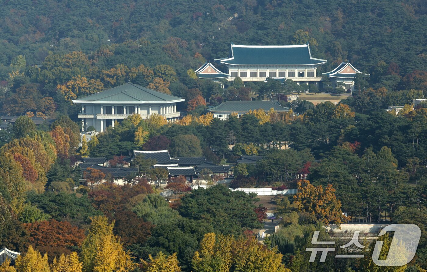 본문 이미지 - 입동인 7일 서울 외교부 청사에서 바라본 청와대 일대 단풍이 절정을 이루고 있다. 용산 대통령실의 청와대 이전이 임박한 것으로 보도되고 있다. &#40;공동취재&#41; 2025.11.7/뉴스1 ⓒ News1 임세영 기자
