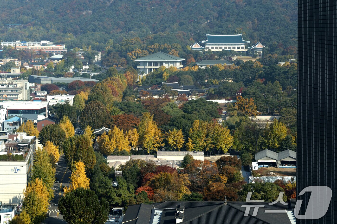 본문 이미지 - 입동인 7일 서울 외교부 청사에서 바라본 청와대 일대 단풍이 절정을 이루고 있다. 용산 대통령실의 청와대 이전이 임박한 것으로 보도되고 있다. &#40;공동취재&#41; 2025.11.7/뉴스1 ⓒ News1 임세영 기자