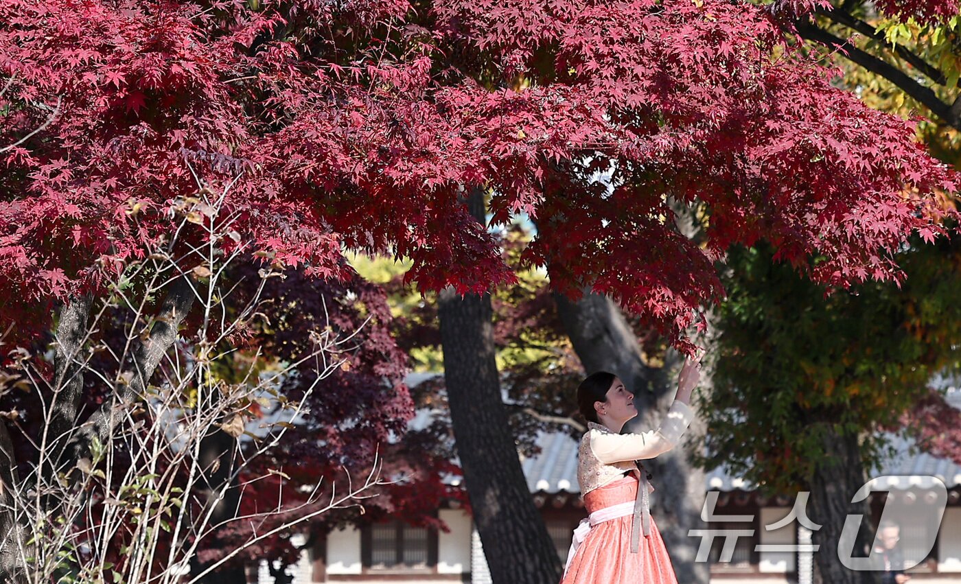 본문 이미지 - 절기상 입동&#40;立冬&#41;인 7일 서울 종로구 경복궁 향원정에서 외국인 관광객들이 단풍과 함께 즐거운 시간을 보내고 있다. 2025.11.7/뉴스1 ⓒ News1 김성진 기자