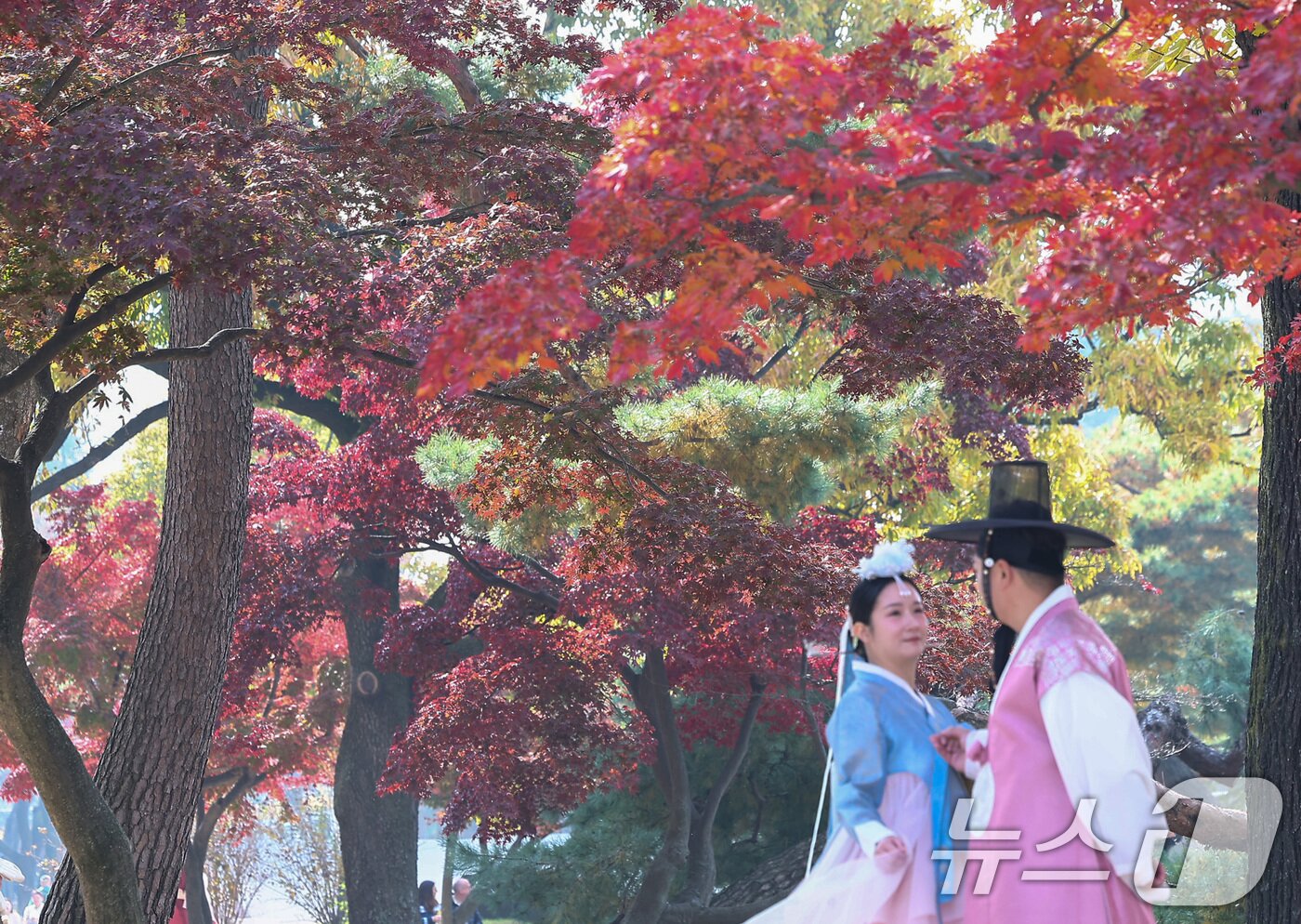본문 이미지 - 절기상 입동&#40;立冬&#41;인 7일 서울 종로구 경복궁 향원정에서 외국인 관광객들이 단풍과 함께 즐거운 시간을 보내고 있다. 2025.11.7/뉴스1 ⓒ News1 김성진 기자
