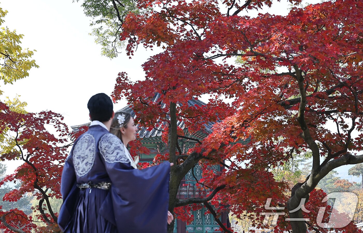 본문 이미지 - 절기상 입동&#40;立冬&#41;인 7일 서울 종로구 경복궁 향원정에서 외국인 관광객들이 단풍과 함께 즐거운 시간을 보내고 있다. 2025.11.7/뉴스1 ⓒ News1 김성진 기자