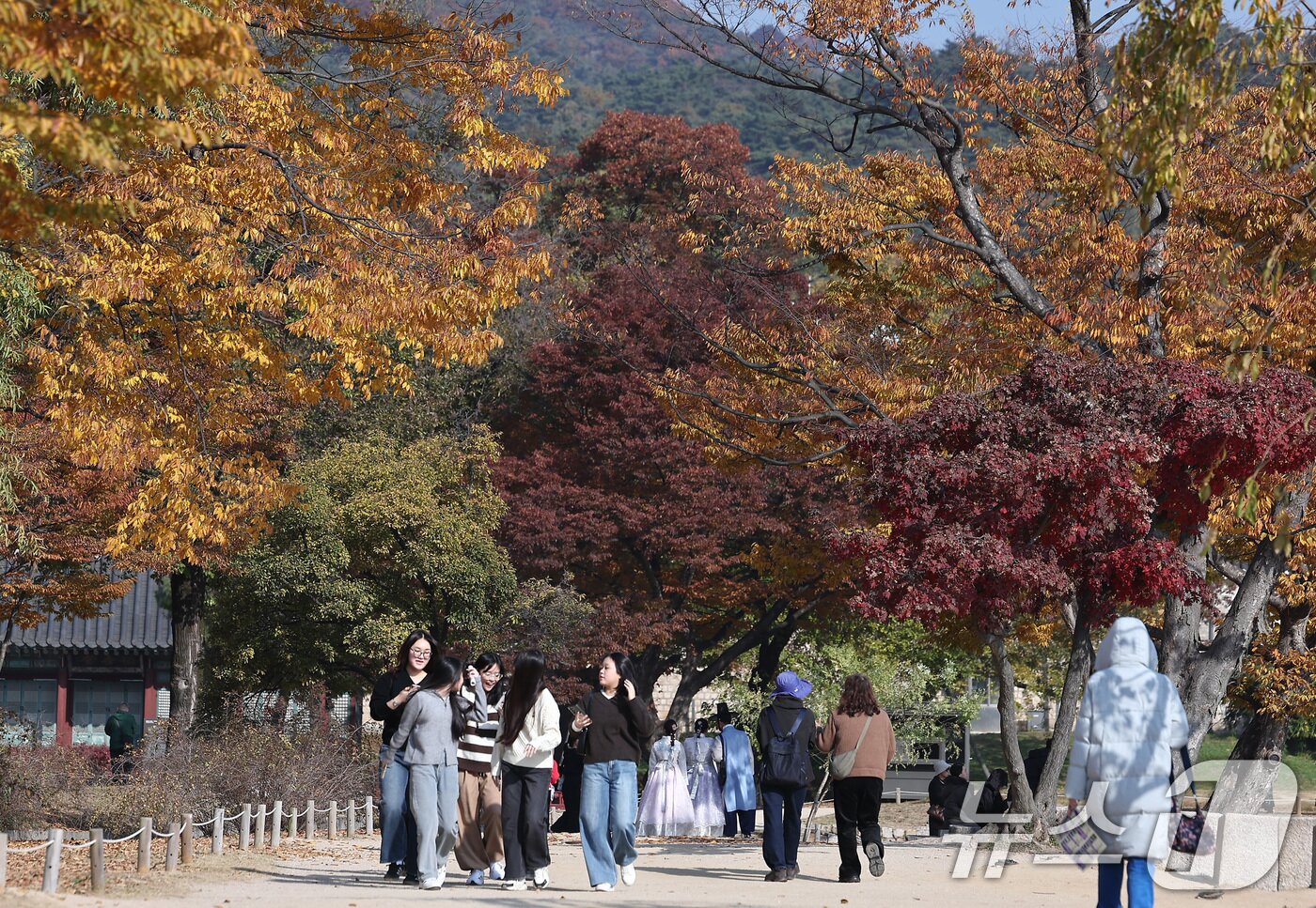 본문 이미지 - 절기상 입동&#40;立冬&#41;인 7일 서울 종로구 경복궁 향원정에서 시민들이 단풍과 함께 즐거운 시간을 보내고 있다. 2025.11.7/뉴스1 ⓒ News1 김성진 기자