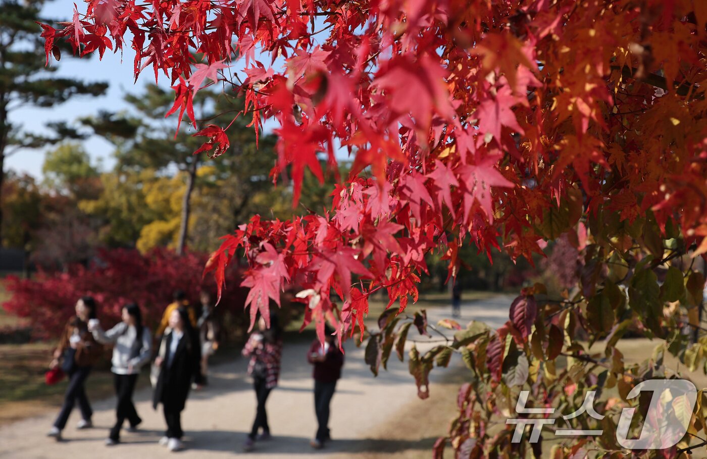 본문 이미지 - 절기상 입동&#40;立冬&#41;인 7일 서울 종로구 경복궁에서 시민들이 단풍과 함께 즐거운 시간을 보내고 있다. 2025.11.7/뉴스1 ⓒ News1 김성진 기자