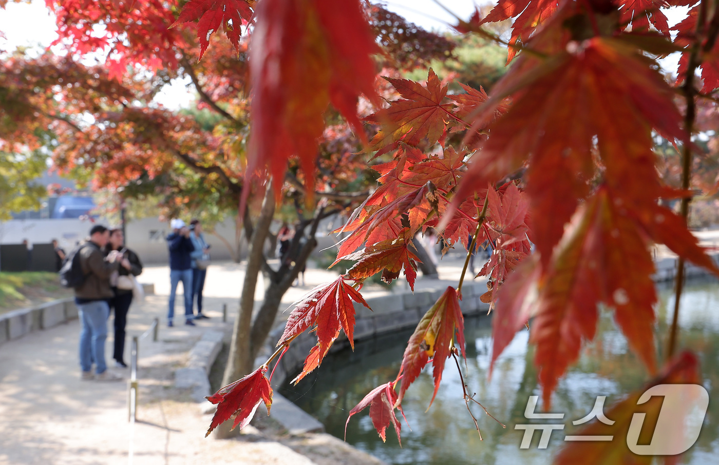 (서울=뉴스1) 김성진 기자 = 절기상 입동(立冬)인 7일 서울 종로구 경복궁 향원정에서 시민들이 단풍과 함께 즐거운 시간을 보내고 있다. 2025.11.7/뉴스1