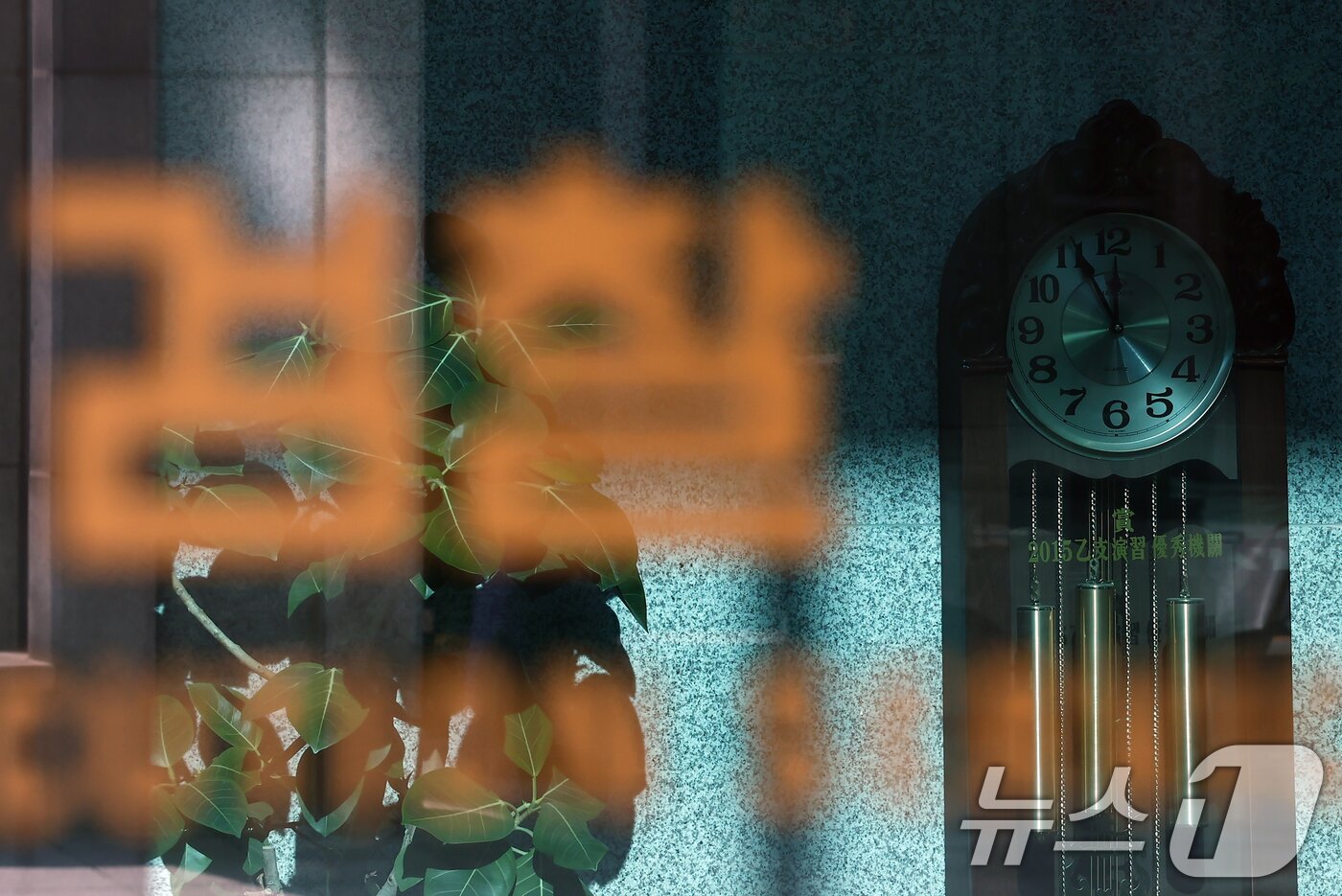 본문 이미지 - 서울 서초구 내란 특검 사무실이 설치된 서울고등검찰청 모습./뉴스1 ⓒ News1 김민지 기자