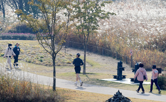 [오늘의 날씨] 강원(9일, 일)…구름 많고, 해안가 사고 유의
