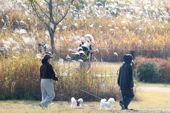 [오늘의 날씨] 대구·경북(8일,금)…흐리고 낮 최고 14~18도