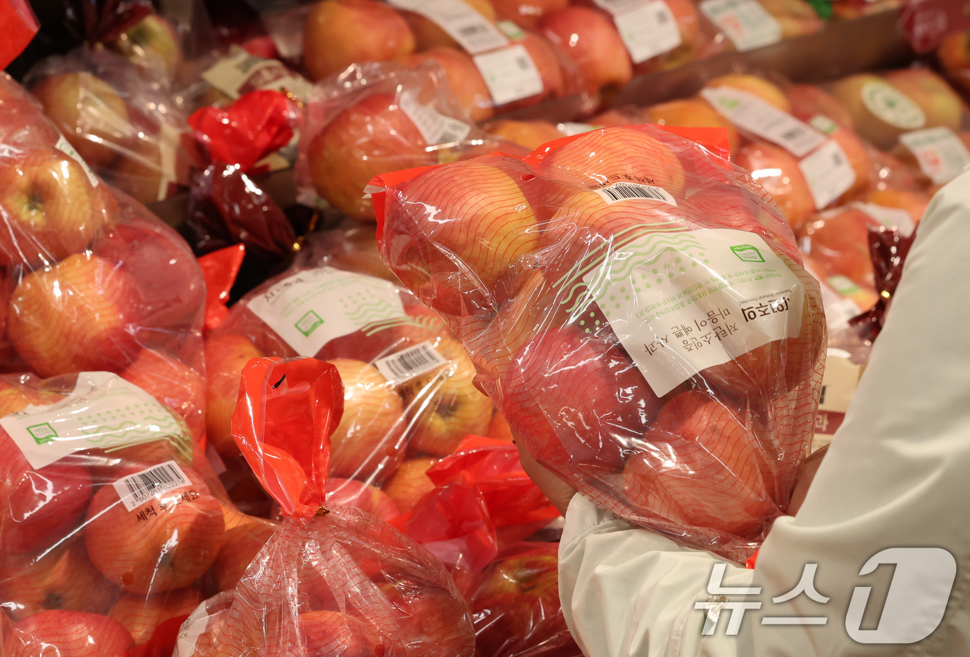 (서울=뉴스1) 장수영 기자 = 7일 서울의 한 마트를 찾은 시민이 사과를 구매하고 있다.이날 국가데이터처(옛 통계청)의 '2025년 10월 소비자물가동향'에 따르면 10월 사과 …