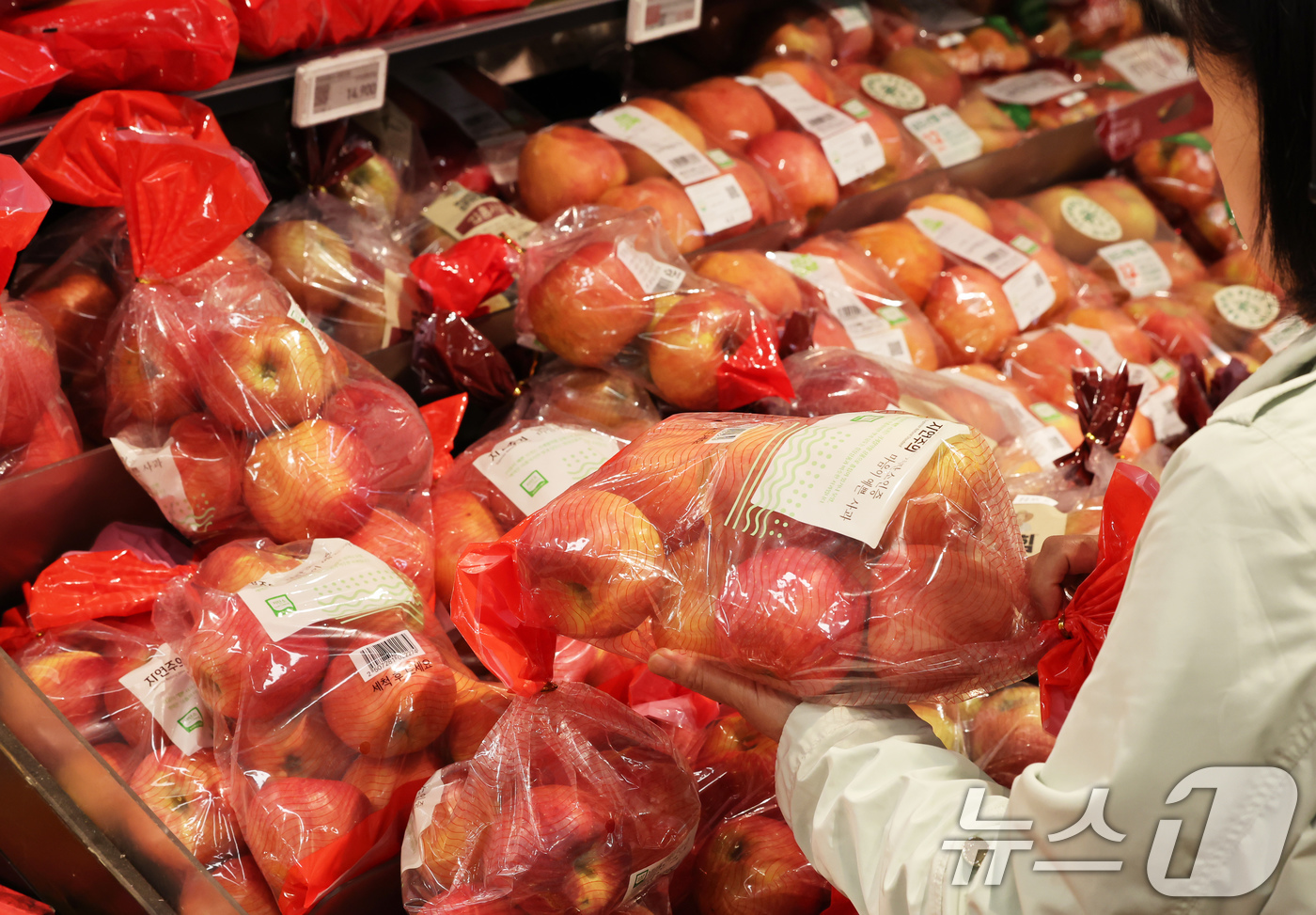 (서울=뉴스1) 장수영 기자 = 7일 서울의 한 마트를 찾은 시민이 사과를 구매하고 있다.이날 국가데이터처(옛 통계청)의 '2025년 10월 소비자물가동향'에 따르면 10월 사과 …