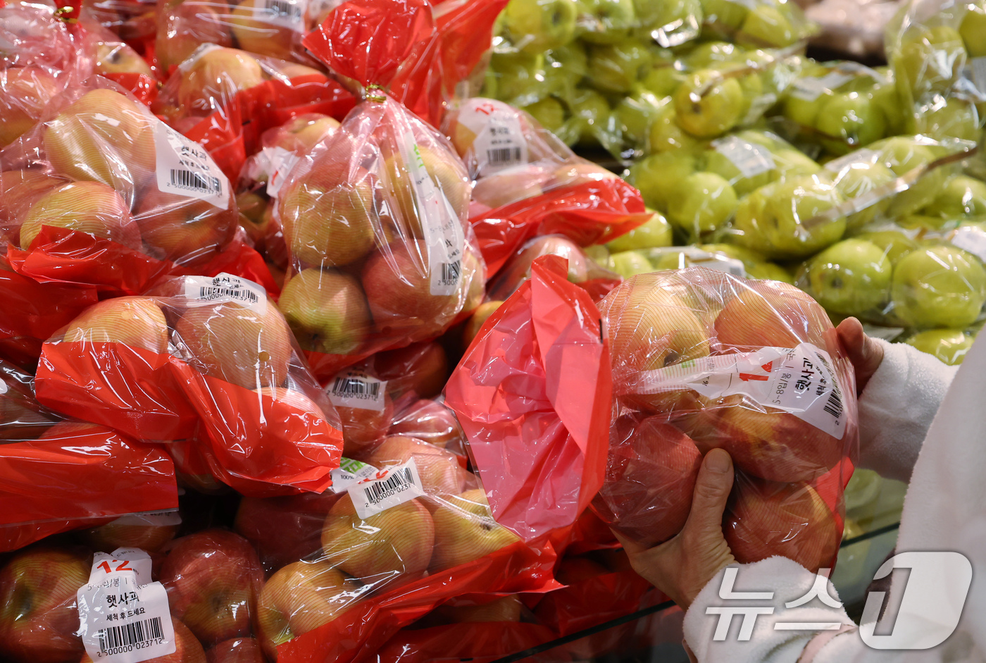 (서울=뉴스1) 장수영 기자 = 7일 서울의 한 마트를 찾은 시민이 사과를 구매하고 있다.이날 국가데이터처(옛 통계청)의 '2025년 10월 소비자물가동향'에 따르면 10월 사과 …