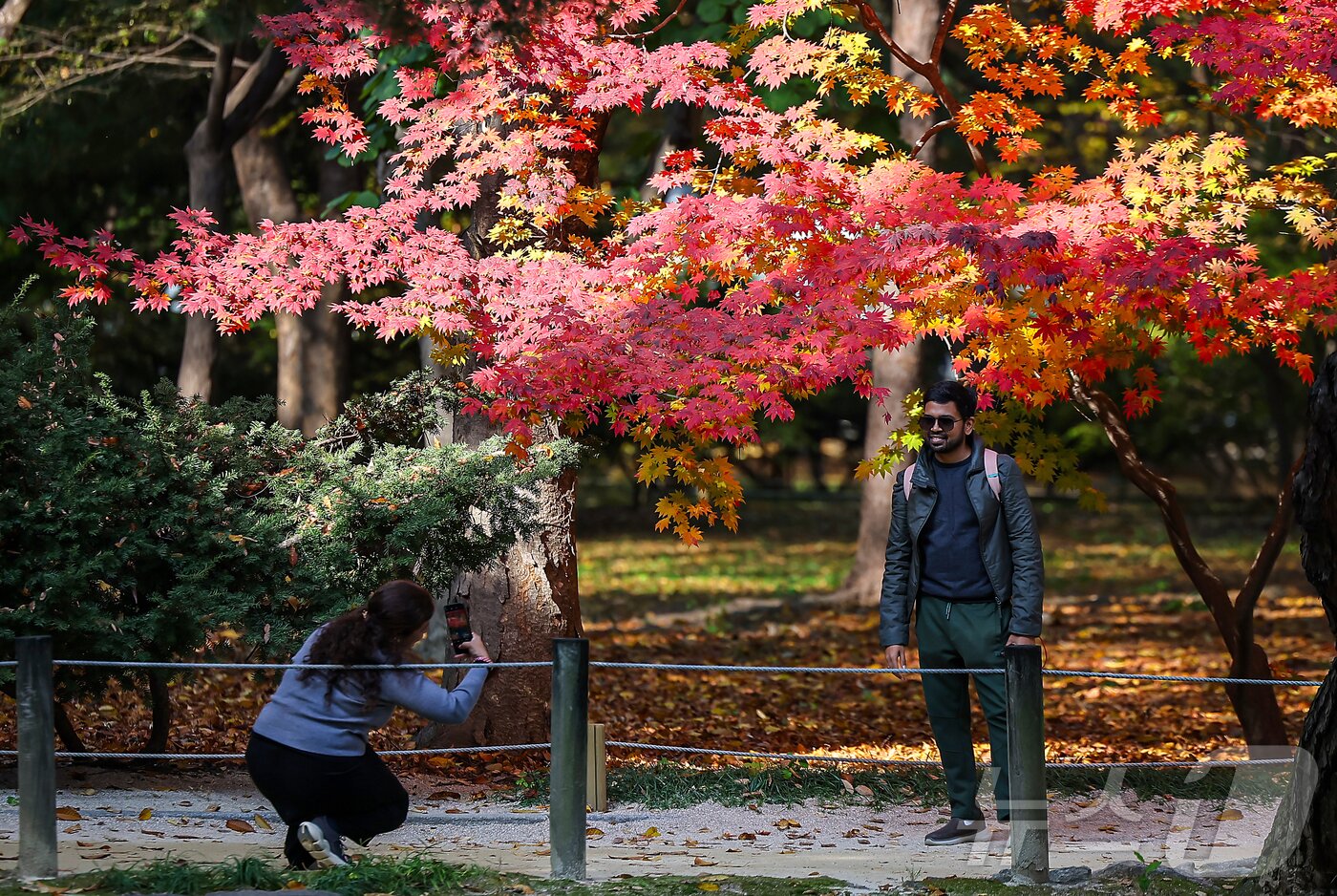 본문 이미지 - 절기상 입동&#40;立冬&#41;인 7일 서울 종묘를 찾은 외국인 관광객들이 단풍과 함께 추억을 만들고 있다. 2025.11.7/뉴스1 ⓒ News1 김진환 기자