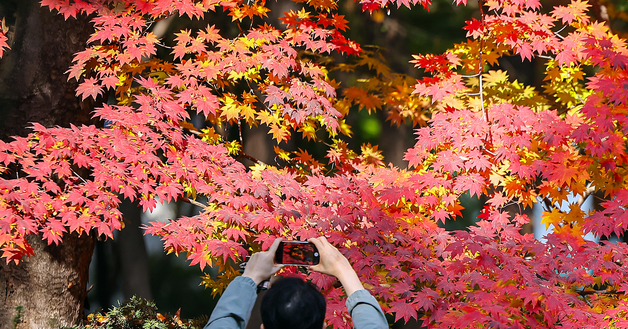 단풍과 함께 만드는 추억