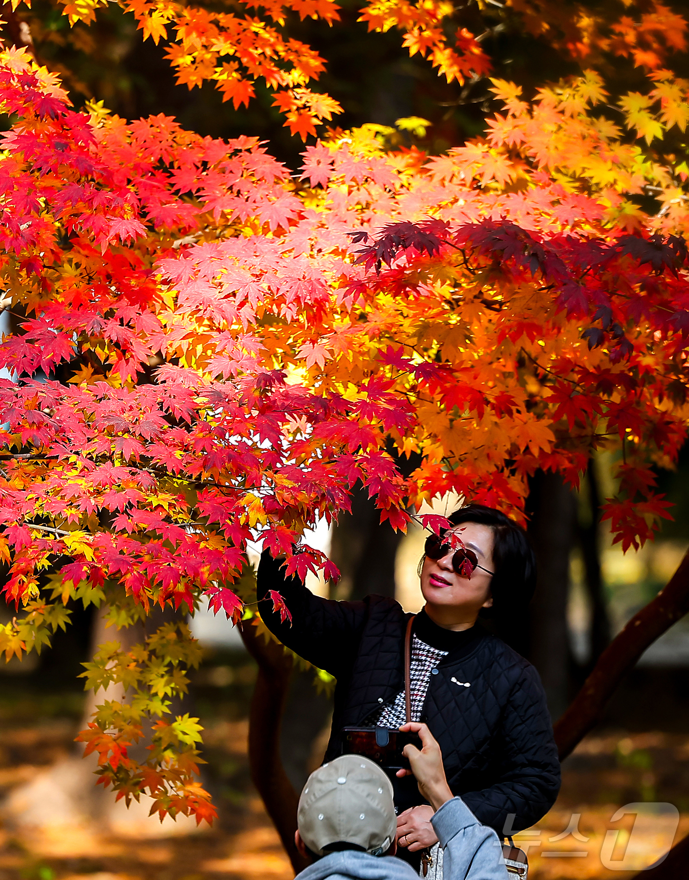(서울=뉴스1) 김진환 기자 = 절기상 입동(立冬)인 7일 서울 종묘를 찾은 시민들이 단풍과 함께 추억을 만들고 있다. 2025.11.7/뉴스1